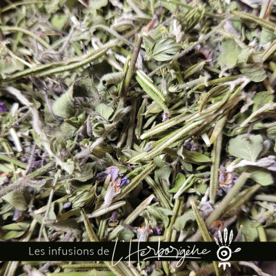 tisane-mere-tonique-2
