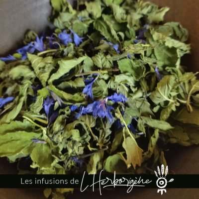tisane-pere-digeste-2