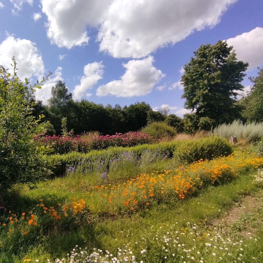 PrimTers au Jardin de la Mare aux Simples